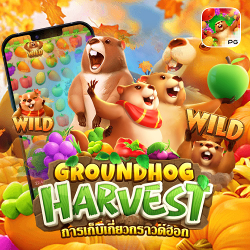 Groundhog Harvest joker123lnw